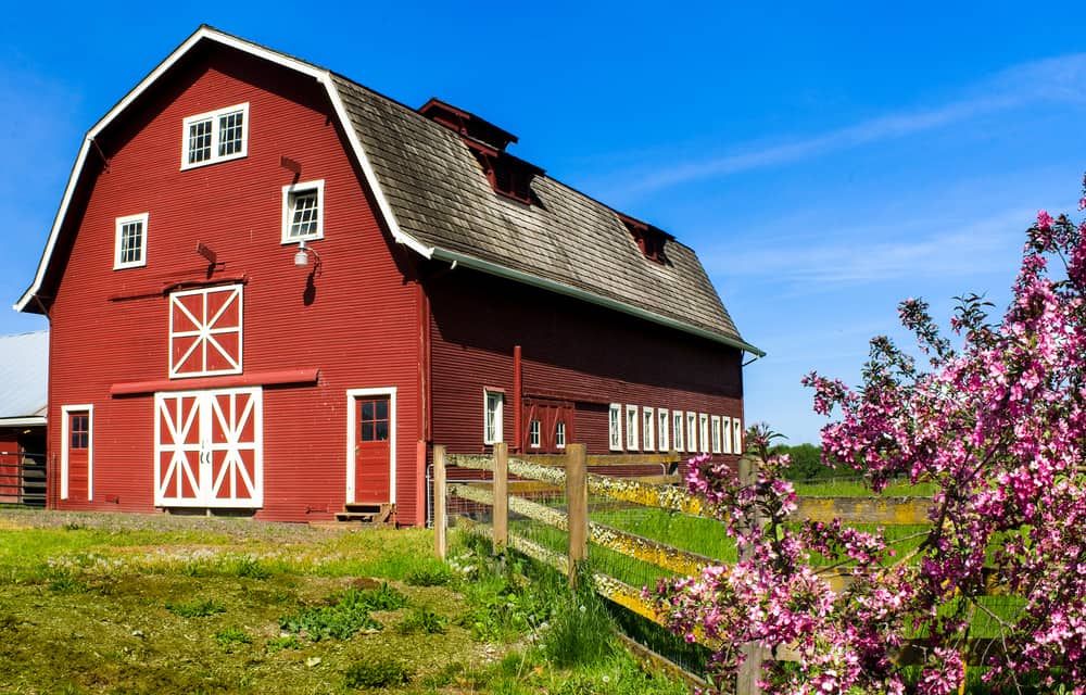 Barn Painting And Repair Ontario Barn Restoration BarnStars   So1RaEjYt8 